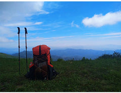 Travel Backpack